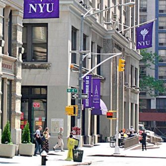 New York University