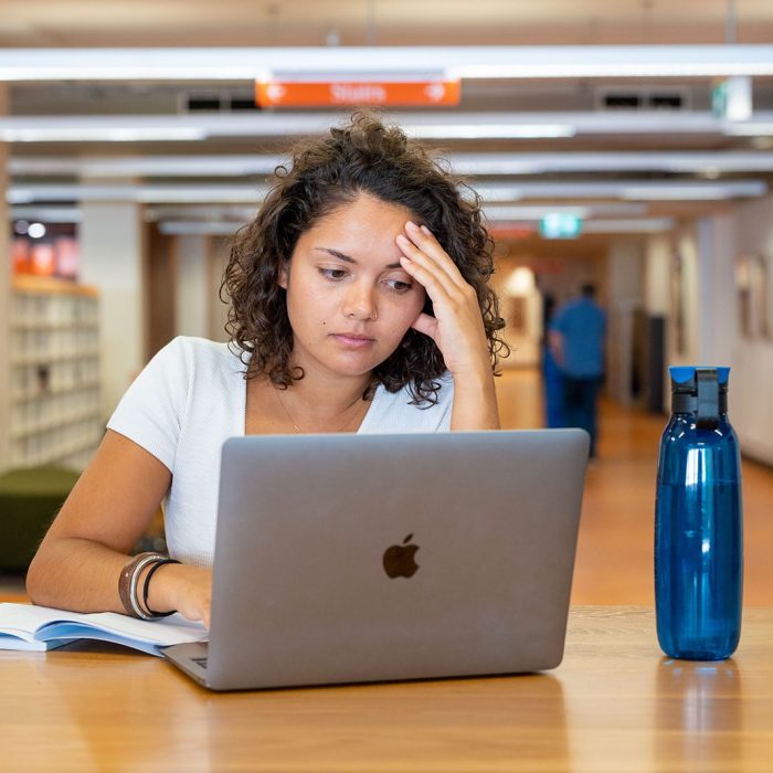 Students studing in the library