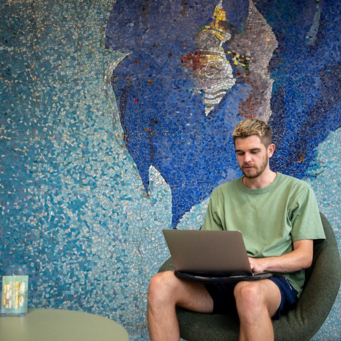 A student looking at their laptop with a mosaic wall behind them