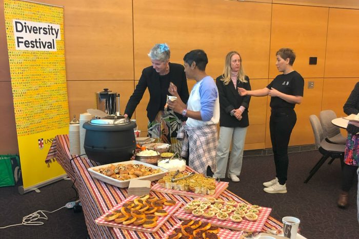 Diversity Festival 2024 - JEINA event