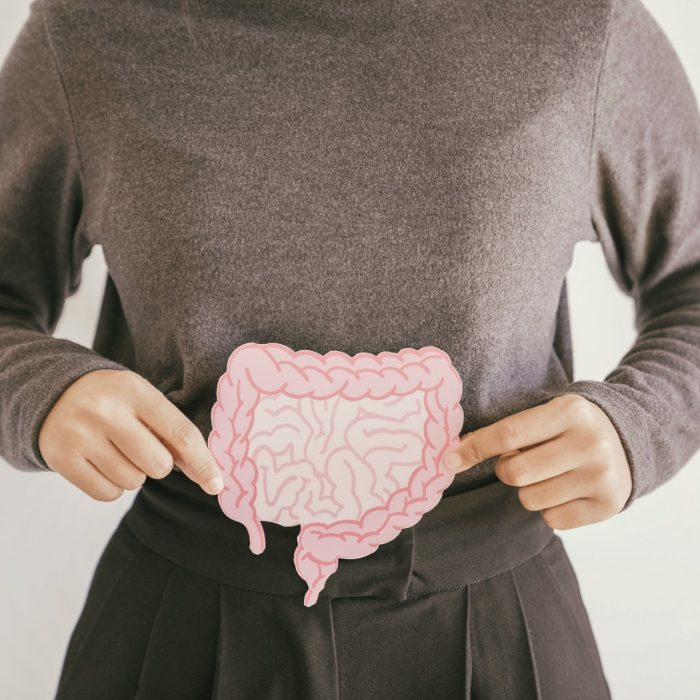 Woman hands holding intestine shape, healthy bowel digestion, leaky gut, probiotic and prebiotic for gut health, colon, gastric, stomach cancer concept