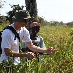 A man and woman are assessing crops in a field.