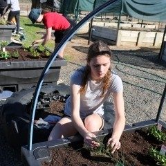 A woman is tending to plants in a planter.