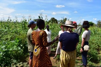 Drought Resistance Uganda (DRU)