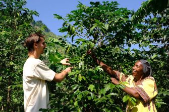 Two people inspecting a tree