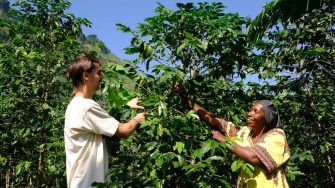 Two people inspecting a tree