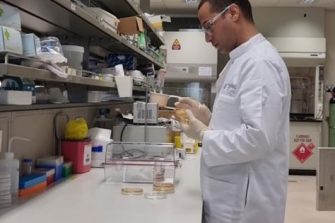 Hosam Elhalis at work