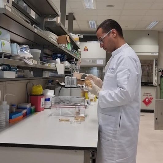 Hosam Elhalis at work