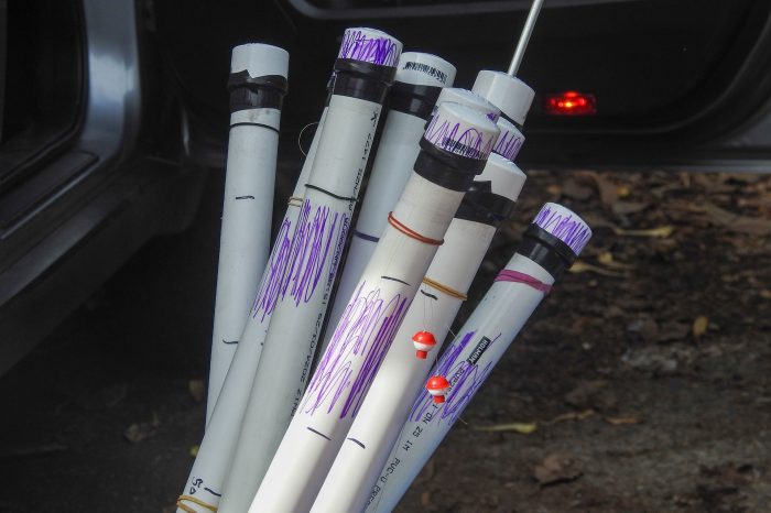 Bacteria loaded cartridges ready for injection at Homebush Bay