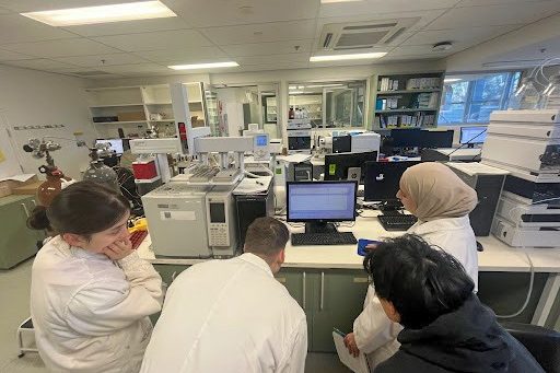 UNSW researchers check whether they’ve successfully grown dioxin-consuming bacteria