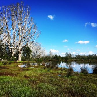 Water & wastewater management