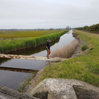Aquatic ecosystems & biodiversity