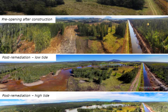 Big Swamp restoration project