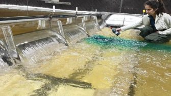 Scrivener Dam is a critical piece of Canberra’s infrastructure, maintaining water levels of the iconic Lake Burley Griffin. Like all dams in Australia, it requires regular maintenance and assessment to ensure ongoing safe operation. A recent inspection identified potential for undesirable uplift forces under the stilling basin slab, triggering a more detailed assessment of dam stability. 