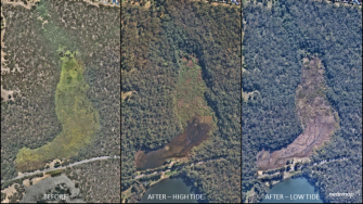 Poor tidal flushing and catchment runoff had resulted in the accumulation of contaminants with high nutrient concentrations. These conditions led to the proliferation of invasive aquatic freshwater weeds. Annual herbicide application prior to 2010 had reduced the weed biomass, however limited maintenance since 2010 had resulted in the growth of weeds to such a significant density that no open water was present. A floating layer of organic matter approximately 40 cm thick formed, which supported a dense community of small shrubs (1 to 2 m in height).