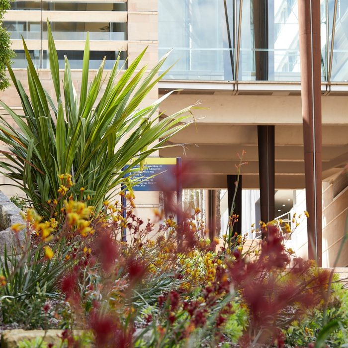 Estate Managment Flowers