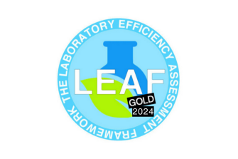 LEAF GOLD 2024