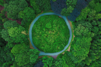 Roundabout in the middle of a forest