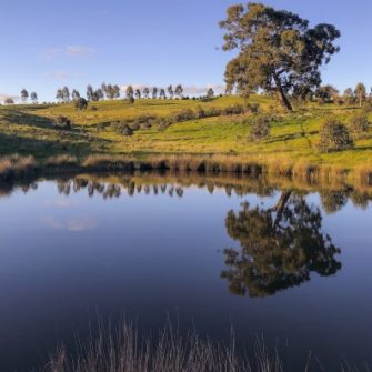 Photo of large dam on rural property