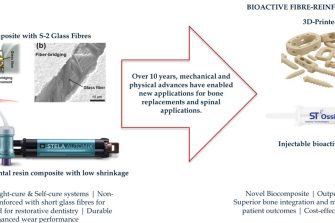 Dental and Bio Composites