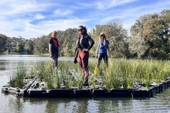 Trial of 'floating mangroves' to be used as part of Project Halo in Fiji