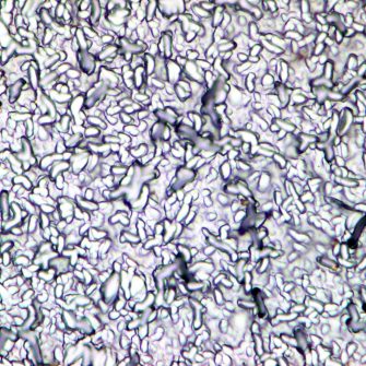 Material characterisation