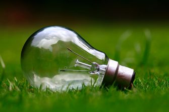 Light bulb on grass