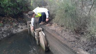 WRL leveraged our understanding of estuary and floodplain processes to develop a program which included field data collection, numerical modelling and desktop assessments to complete this study.  