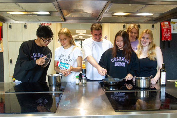 UNSW Electrification Project