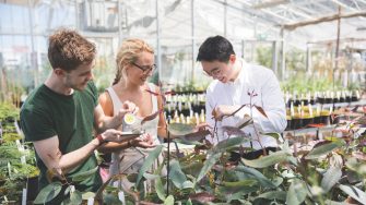 three students garden happily in the UNSW Science BEES Glasshouse