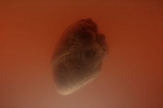 Project Symphony Out of Home