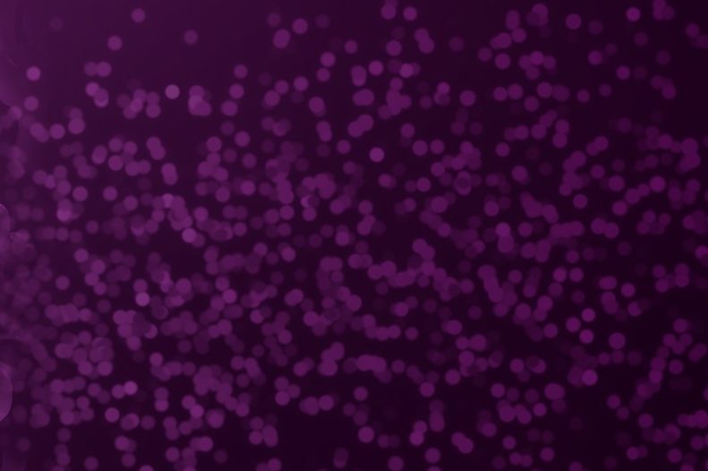 Legal Education Conference