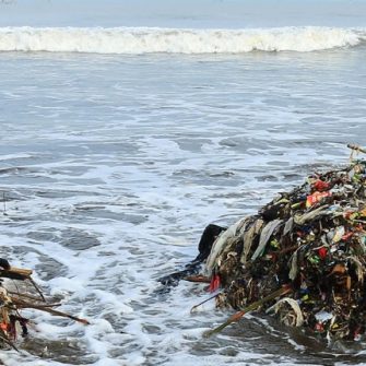 Find out more about  Environmental law