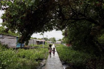 "Guardianes del Mangle" (Guardians of the Mangrove) is a community-led group from the Pescador 1 and 2 neighborhoods in Turbo, Colombia, composed of 18 members, including individuals displaced by armed conflict and artisanal fishermen. The group is dedicated to the conservation and restoration of local mangrove ecosystems. Their mission is to protect the environment by planting mangroves, promoting the recovery of biodiversity, and raising awareness about the importance of maintaining a healthy relationship with nature. Additionally, they regularly organize cleaning activities as part of their environmental restoration efforts. These activities include conducting community clean-up days to remove solid waste from the mangrove areas, which helps improve water flow, reduce pollution, and create a healthier ecosystem.  Through their work, Guardianes del Mangle aims to improve coastal resilience, safeguard local wildlife, and strengthen the community's resilience to environmental hazards.  The mangroves, which offer crucial environmental protection, are severely threatened by climate change and have been degraded due to the mismatch between the expanding population and inadequate waste management systems. This degradation has led to negative health impacts for residents and limited livelihood opportunities. Therefore, there is an urgent need for solutions to support the integration and independence of displaced communities. UNHCR Colombia is partnering with Pescador 1 and 2 communities through the  Guardians of the Mangle, to develop and test new strategies for mangrove restoration, helping to create green economic opportunities and provide a safe environment for displaced and host communities. ; Through the UNHCR Innovation Fund, UNHCR supports the Guardianes del Mangle initiative , working closely with local organizations and community members to address the needs of displaced families and provide technical support to implement this initiative.  