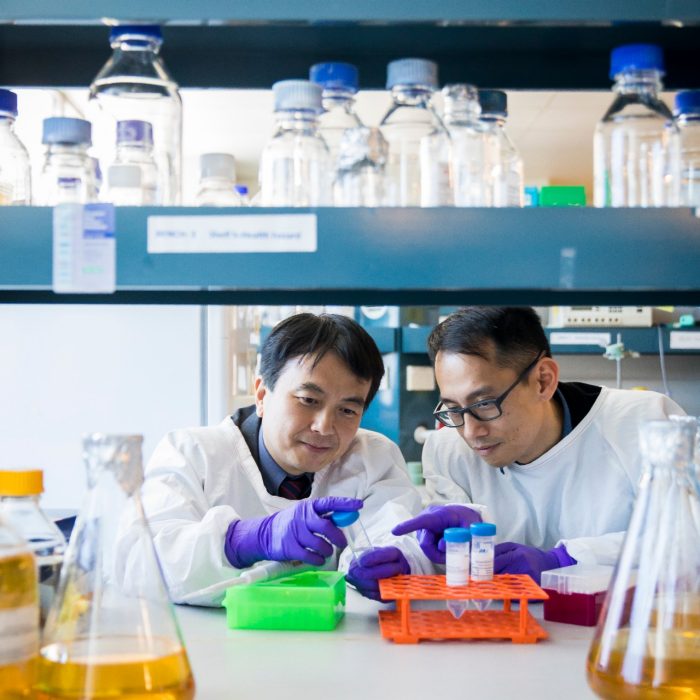 Students studying Biomedicine in labs