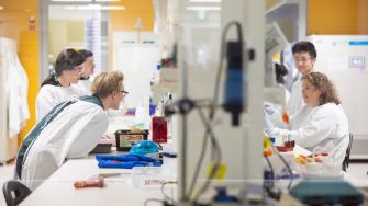 Nicola Smith group in the lab