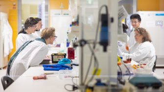 Scientists working at lab bench