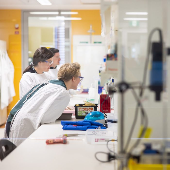 Scientists working at lab bench
