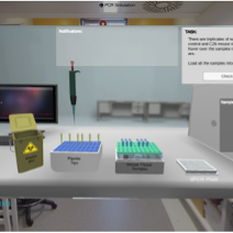 Herbert Polly Group Digital Immersive Education Research