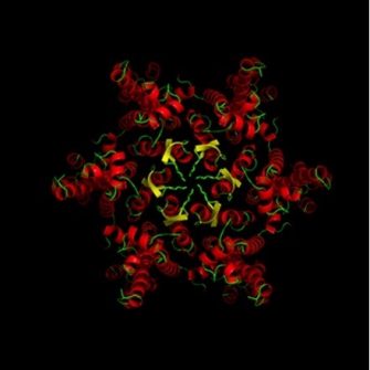 Jacques Group: Structural Virology