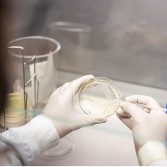 Kaakoush Group: Host-Microbiome Interactions