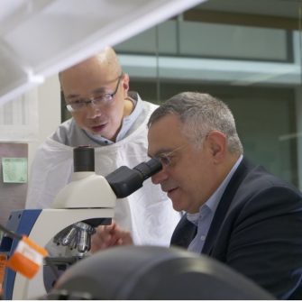 Khachigian Group: Vascular Biology and Translational Research