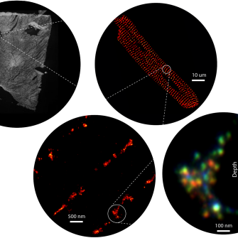 Jayasinghe Group: Signalling Nanodomains Lab