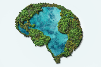 CheBA bews: Brain Health and Prevention | World Brain Day