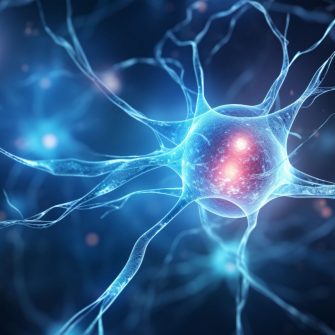  Bridging health equity gaps for Australians with MND: Co-designing solutions with the MND Community