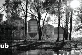 Murrumbidgee regional training hub banner
