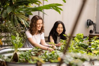 Students from our health professional programs learning in UNSW Medicine & Health’s facilities