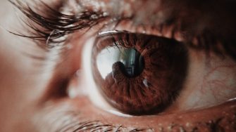 Close up of a brown adult eye