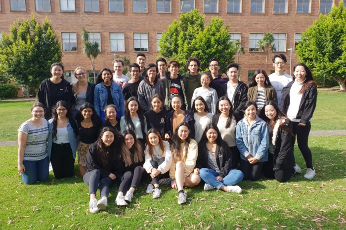 2019 Peer mentoring team