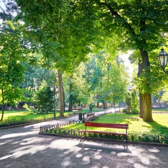 Morning in city park, bright sunlight and shadows, summer season, beautiful landscape